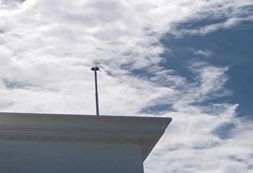 Grounding Bogor- Penangkal Petir Elektrostatis radius 100 meter